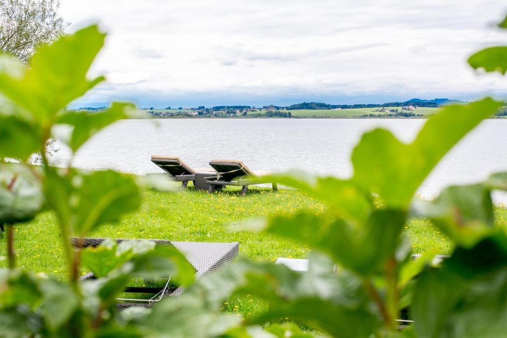 Hotel Seebrunn Am Wallersee Henndorf am Wallersee Ngoại thất bức ảnh