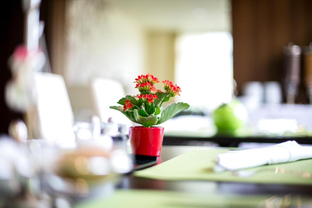 Hotel Seebrunn Am Wallersee Henndorf am Wallersee Ngoại thất bức ảnh