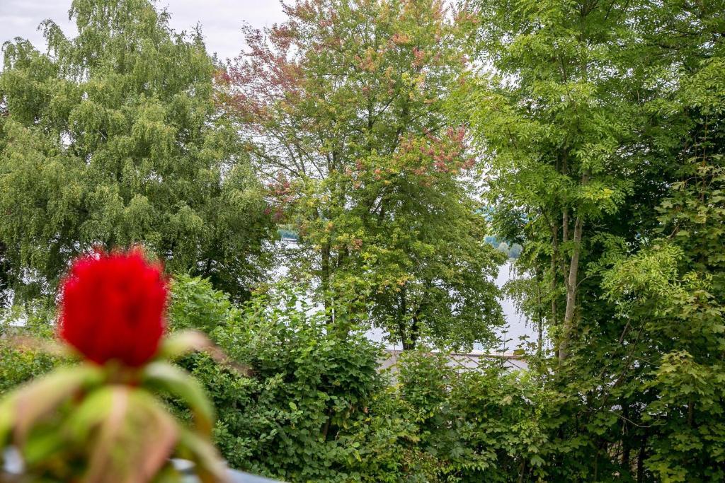 Hotel Seebrunn Am Wallersee Henndorf am Wallersee Ngoại thất bức ảnh